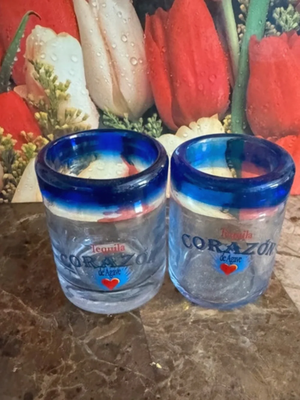 Corazon Tequila Hand Blown Blue-Rim Shot Glasses - Set of 2